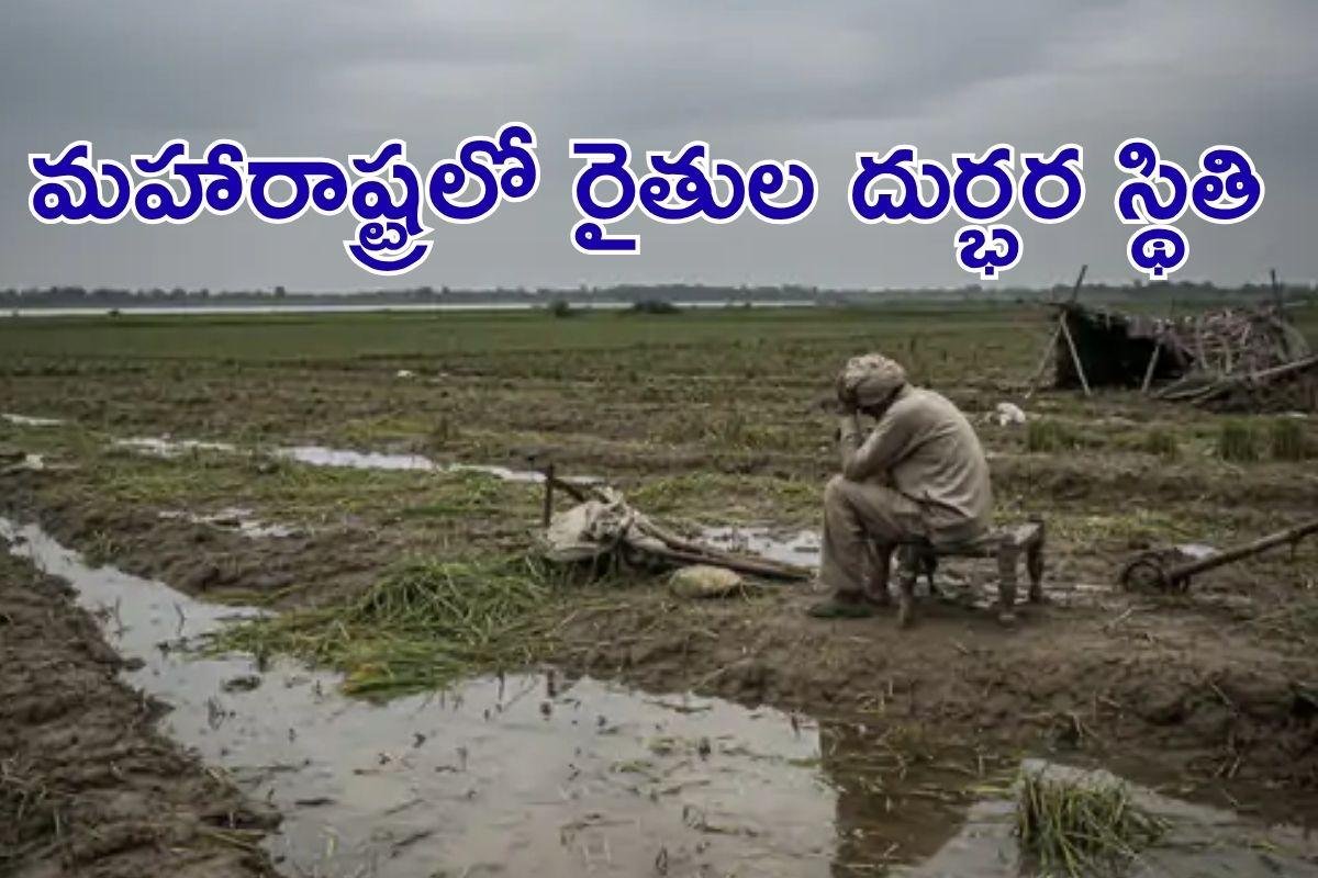 Farmers Problems: మహారాష్ట్రలో వందలాది రైతుల ఆత్మహత్యలు